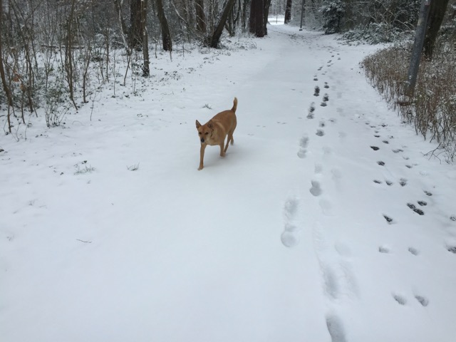 Der erste Winter mit Schnee