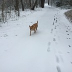 Der erste Winter mit Schnee